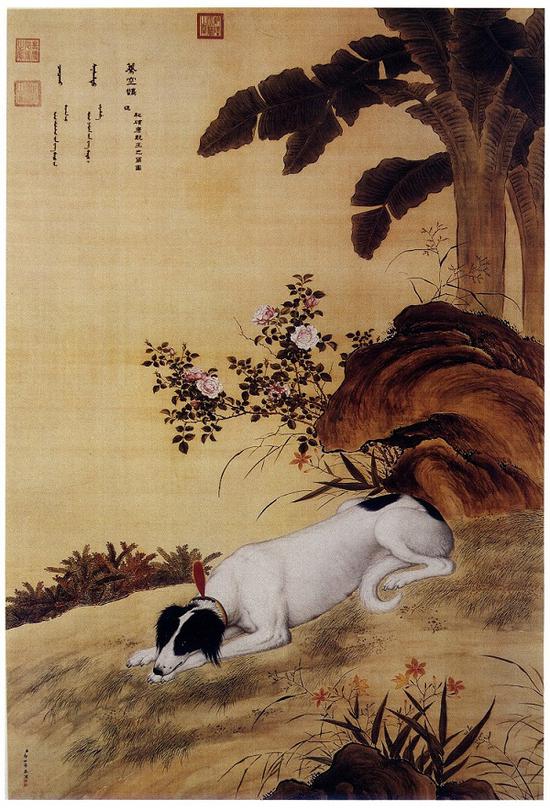 郎世宁画笔下的中国猎犬