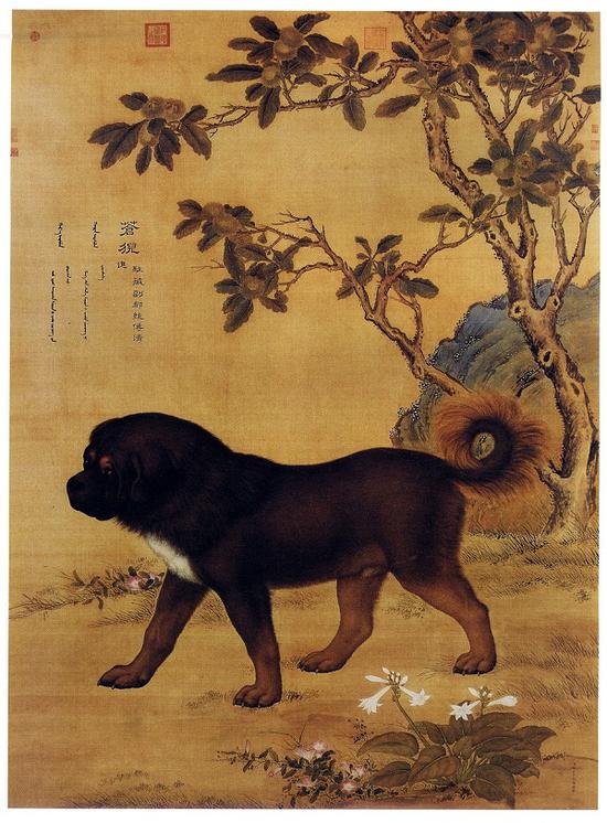 郎世宁画笔下的中国猎犬