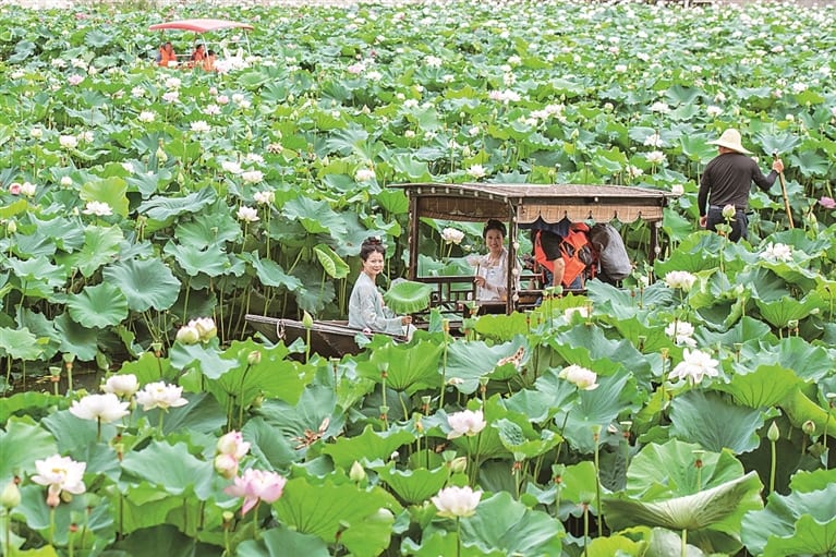 从“观光”到“参与”，从“看景”到“入景”——深度体验成旅行新风尚