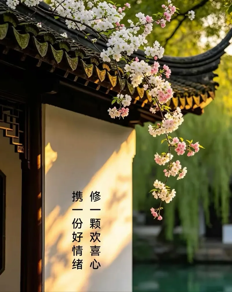 忙了一整年,是时候用东方草本,把亏掉的气血温柔地养回来了