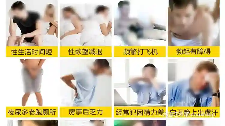 《古法绣影:苏绣艺术的传承与创新》